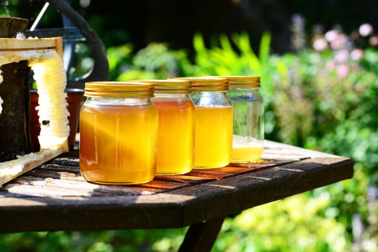 Miele dell’Alto Piemonte: dolcezza naturale dal cuore delle Alpi