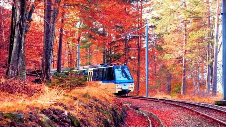 Foliage d’autunno in treno tra Piemonte e Svizzera